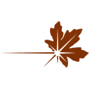 Copperleaf logo