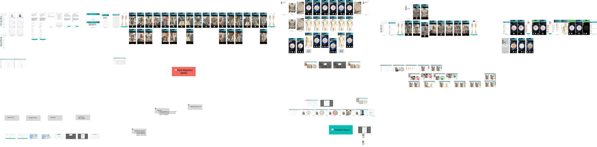 MoleSafe workflow diagram